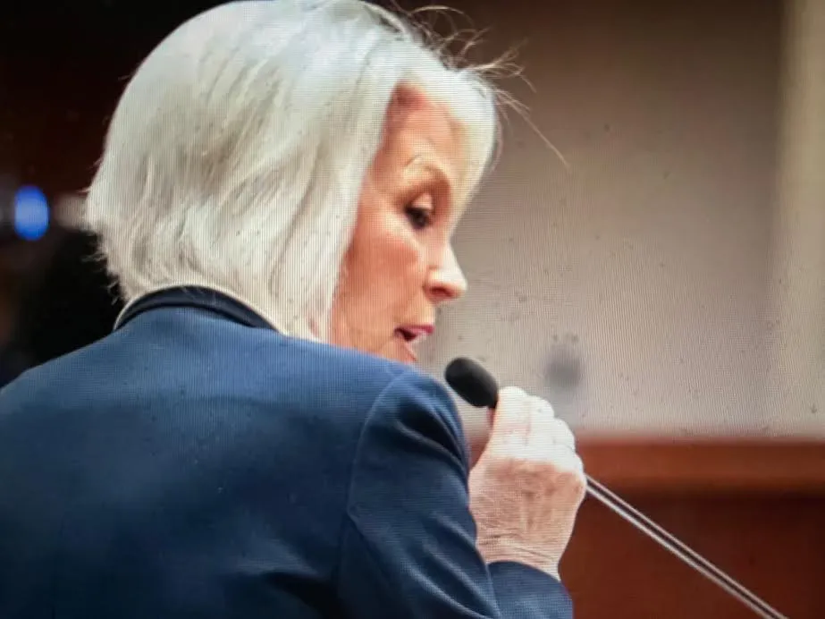 Tina Peters speaks into a microphone at court